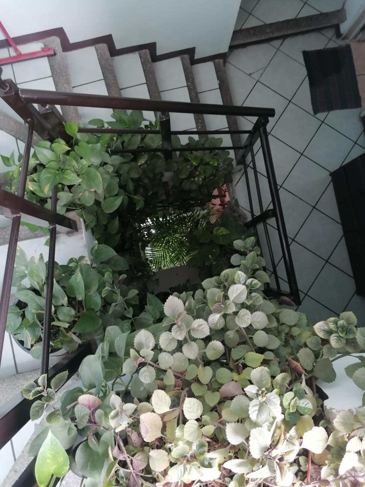 Casa Los Arcos 오아하카주 외부 사진