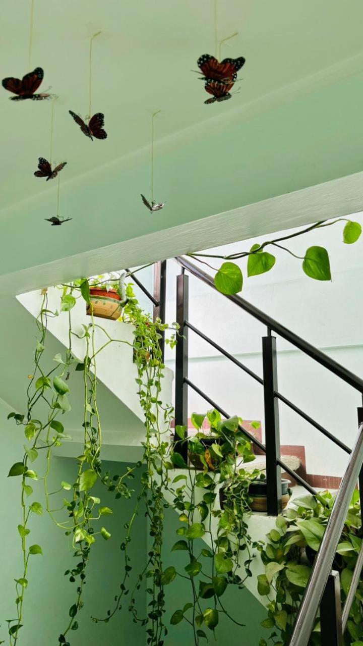Casa Los Arcos 오아하카주 외부 사진